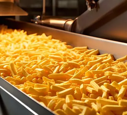 French Fries Production Line