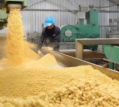 Feed production line
