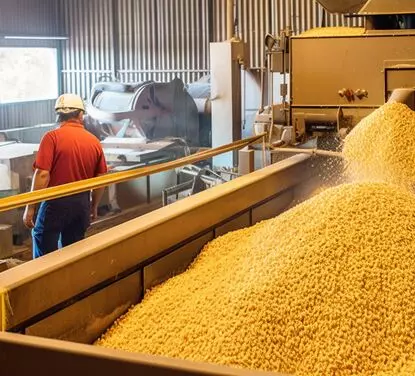 Animal Feed Production Line