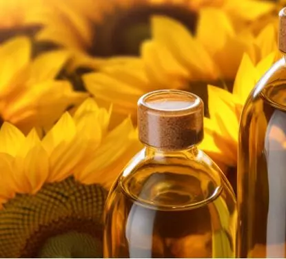 Sunflower Oil Production Line