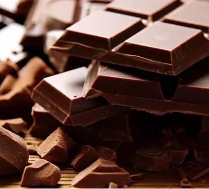 Chocolate Production Line