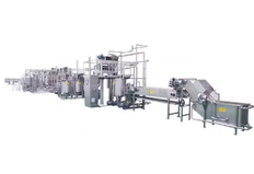 Industrial factory line for the production of tomato paste ketchup