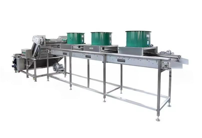 Tomato paste production line with a capacity of 1 ton per hour.