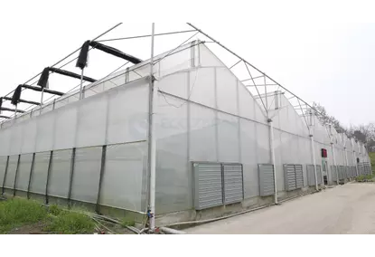 Farm greenhouse Farm greenhouse