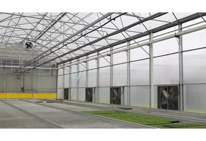 Farm greenhouse Farm greenhouse