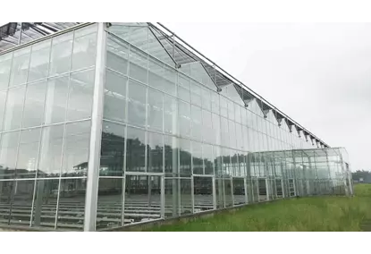 Greenhouses using VENLO technology Greenhouses using VENLO technology