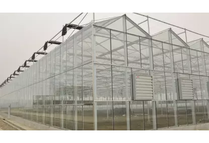 Greenhouses using VENLO technology Greenhouses using VENLO technology