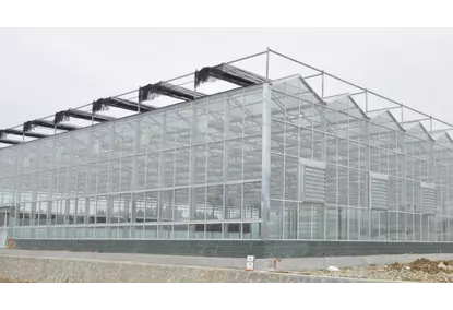 Greenhouses using VENLO technology Greenhouses using VENLO technology