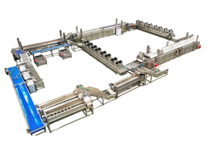 Potato Chips and French Fries Production Line