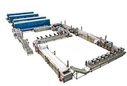 French Fries and Chips Production Line