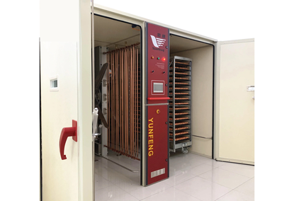 Egg Incubator YFDF-76800