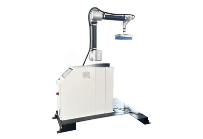 Robot palletizer of the packaging line