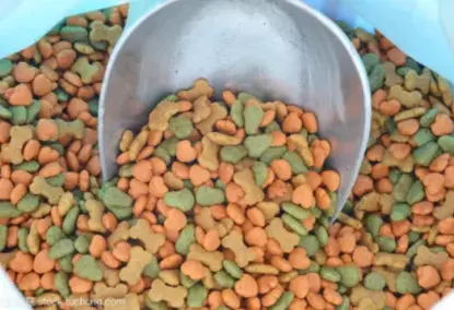 Automatic line for the production of pet food, dogs, cats, fish