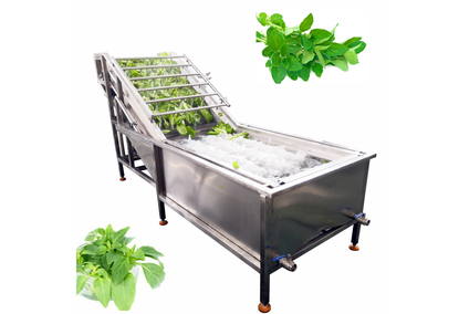 Powerful Stainless Steel Vegetable and Fruit Washer with Air Bubbles Powerful Stainless Steel Vegetable and Fruit Washer with Air Bubbles