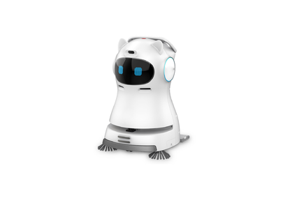 Robot vacuum cleaner for carpet C30