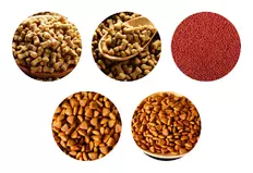 Pet Treats Production Line