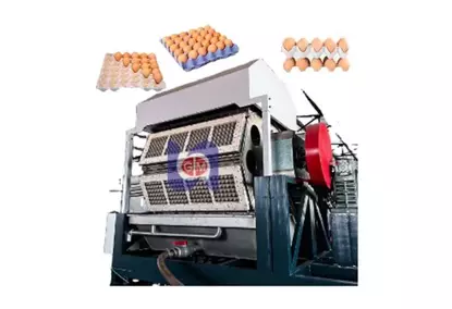 Egg Packaging Machine
