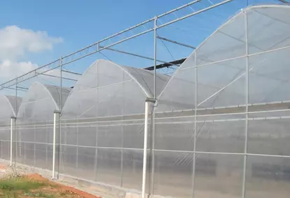 Greenhouses for industrial use under film Greenhouses for industrial use under film