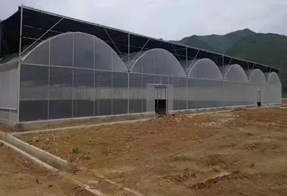 10,000 m2 greenhouse for agricultural/commercial purposes 10,000 m2 greenhouse for agricultural/commercial purposes