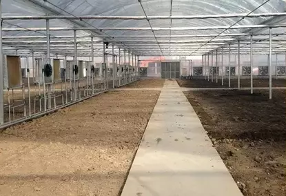 10,000 m2 greenhouse for agricultural/commercial purposes 10,000 m2 greenhouse for agricultural/commercial purposes