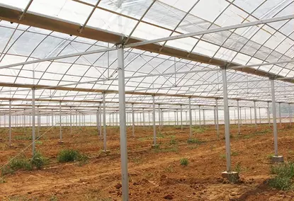 10,000 m2 greenhouse for agricultural/commercial purposes 10,000 m2 greenhouse for agricultural/commercial purposes