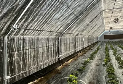 Polytunnel greenhouse with 100% dimming and automatic lighting control system Polytunnel greenhouse with 100% dimming and automatic lighting control system