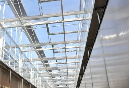 Multi-span greenhouse with hydroponics Multi-span greenhouse with hydroponics