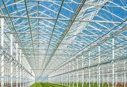 Multi-span greenhouse with hydroponics Multi-span greenhouse with hydroponics