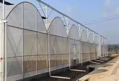 Mini polytunnel greenhouse for growing vegetables Mini polytunnel greenhouse for growing vegetables
