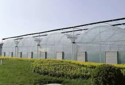 Mini polytunnel greenhouse for growing vegetables Mini polytunnel greenhouse for growing vegetables