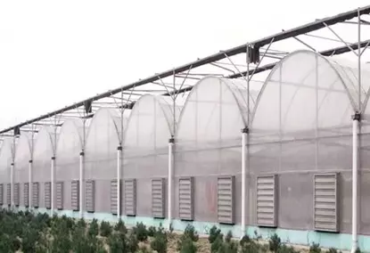 Mini polytunnel greenhouse for growing vegetables Mini polytunnel greenhouse for growing vegetables