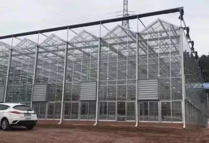 Multi-span glass greenhouse with a single layer of glass