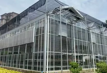 Multi-span glass greenhouse with a single layer of glass