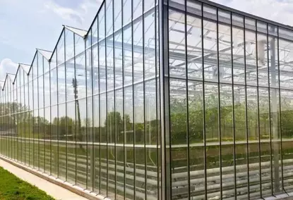 Multi-span glass greenhouse with a single layer of glass