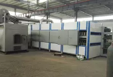 Veneer Drying Machine