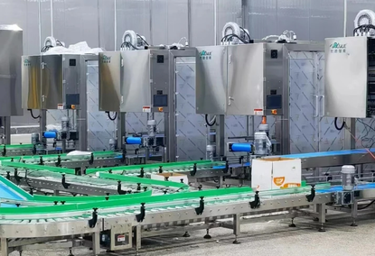 Automatic Carton Packing Machine Automatic Carton Packing Machine