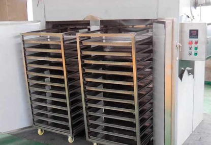 Fruit and Vegetable Dryer based on hot air CT