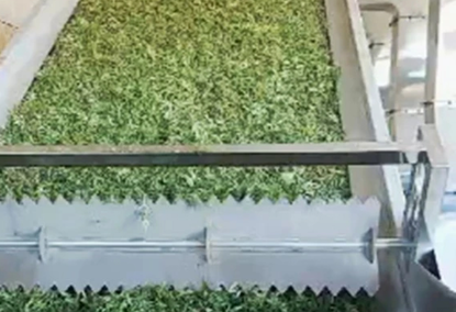 Drying equipment for onions, parsley LJD-8000