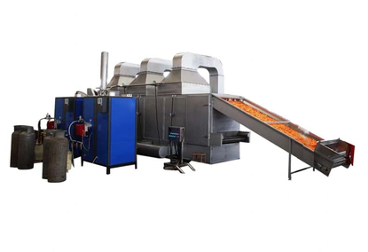Conveyor dryer for lemons HG-3 HG-5 HG-7
