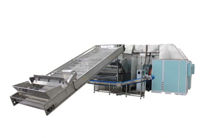 Conveyor dryer for lemons HG-3 HG-5 HG-7
