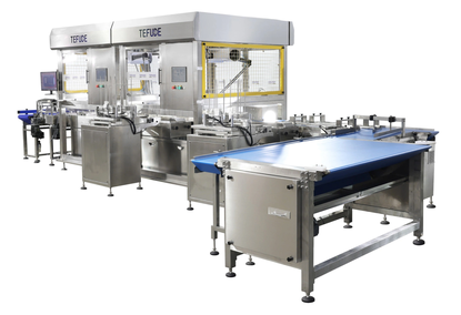 Robotic arm for packaging TFD-R1100