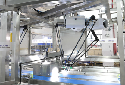 Robotic arm for packaging TFD-R1100