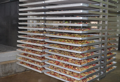Vacuum dryer for drying and freezing LTDG-Series