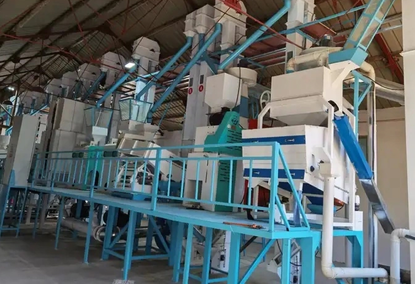 100TPD Automatic Grain Crushing Equipment
