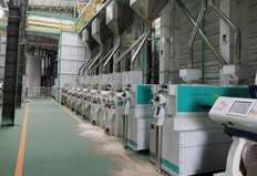 100TPD Automatic Grain Crushing Equipment