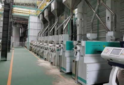 100TPD Automatic Grain Crushing Equipment