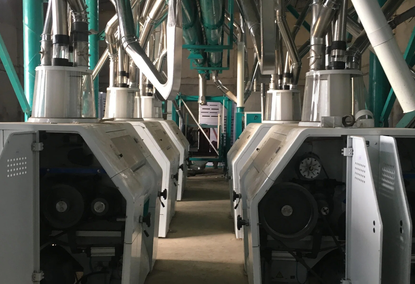 50t/24h Automatic Flour Milling Machine