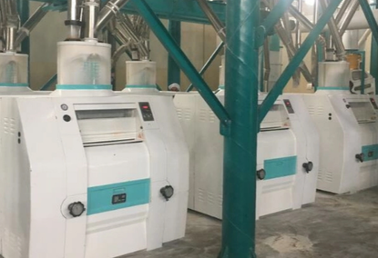 50t/24h Automatic Flour Milling Machine