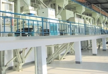 Rice Processing Equipment 100TPD