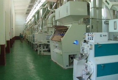 Rice Processing Equipment 100TPD